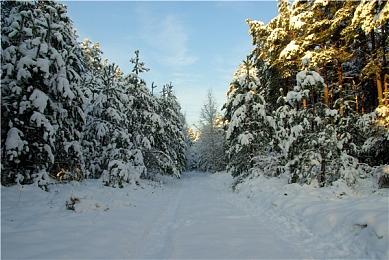 《堕落之主2》作曲家确定 游戏将更加商业化